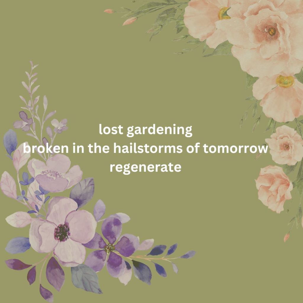 Haiku